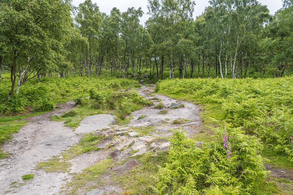 Grey Millstone Quarry Grey Millstone Quarry